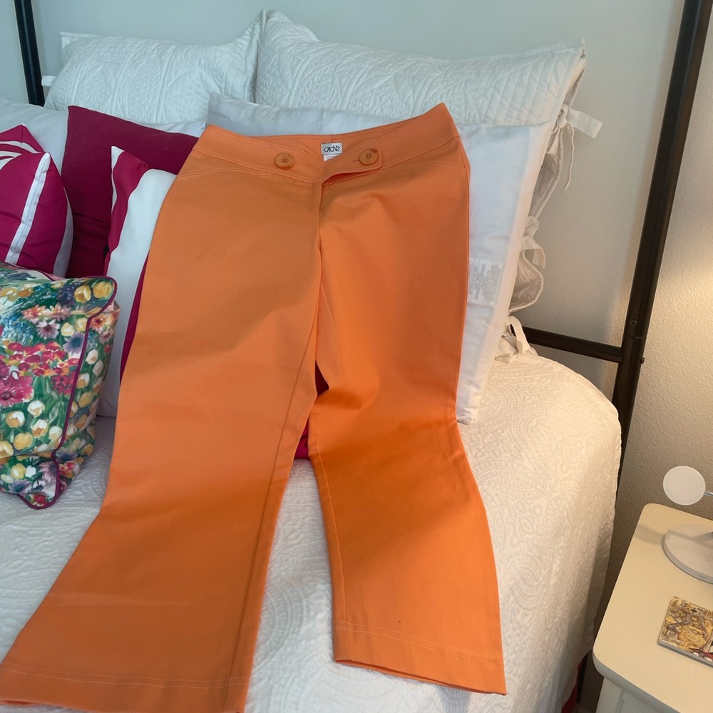 Beautiful “Mandarin” Cache capris new with tags! - Picture 3 of 4